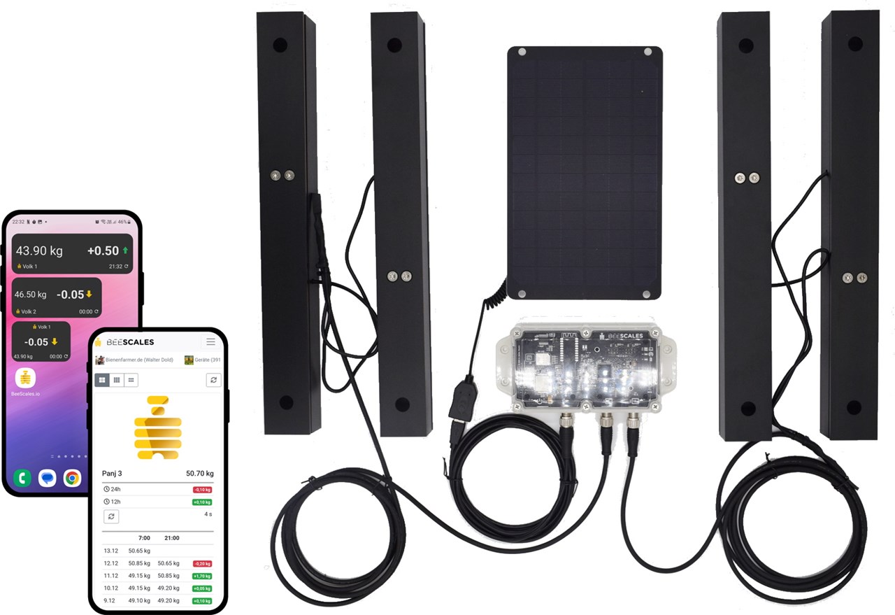 Pèses‑ruches & balances apicoles